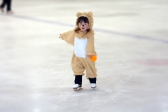 little-lion-skating-1467781 little-lion-skating-1467781
